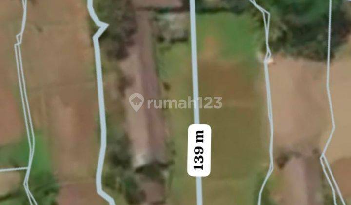 Di jual cepat lahan murah Ubud dilingkungan strategis 