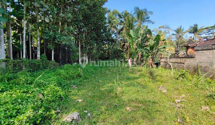 Jual tanah dekat sekolah internasional empaty school Ubud Pejeng kangin