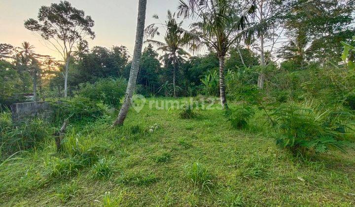 Dijual Tanah di Ubud View sungai lembah dan jungle