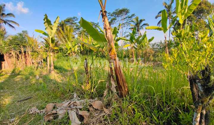 Di Jual Tanah di Ubud View Sawah Dan Sunset