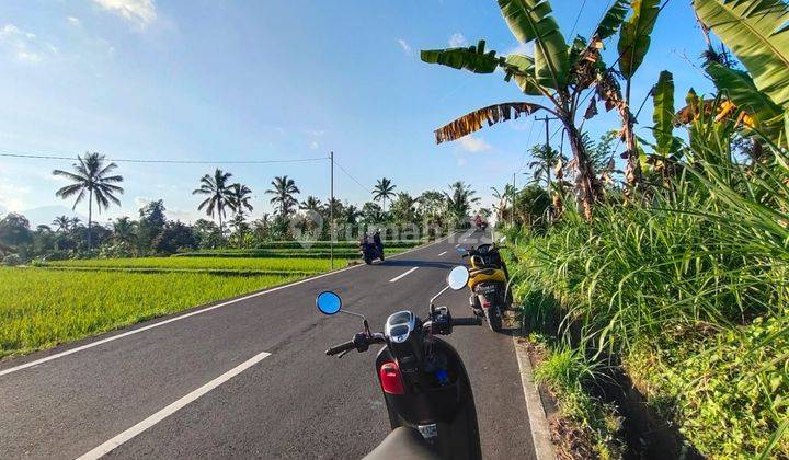 Di Jual Tanah di Ubud View Sawah Dan Sunset 1