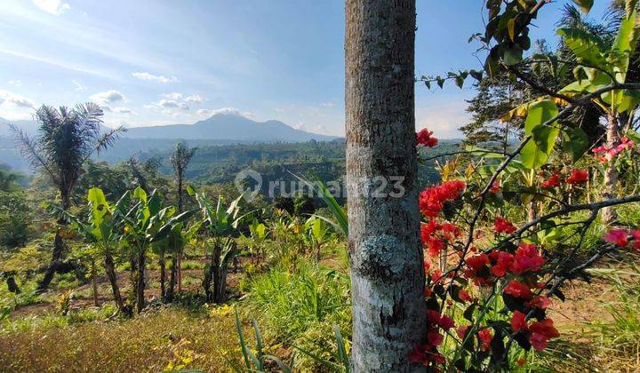 Dijual Tanah  view di gunung Batukaru sungai ayung  Dan Sunset 
