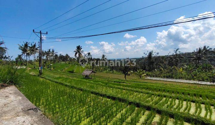 Dijual Tanah di Ubud View Gunung Sawah Rice Teracce