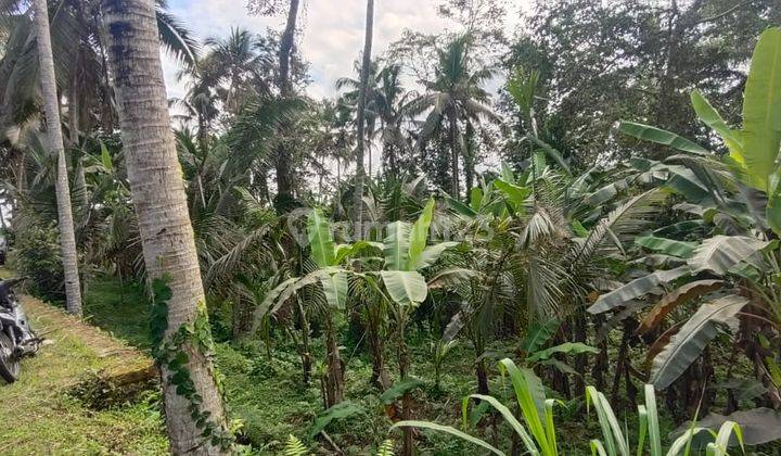 Di Jual Tanah di Ubud View Sawah jungle dan sungai kecil telabah