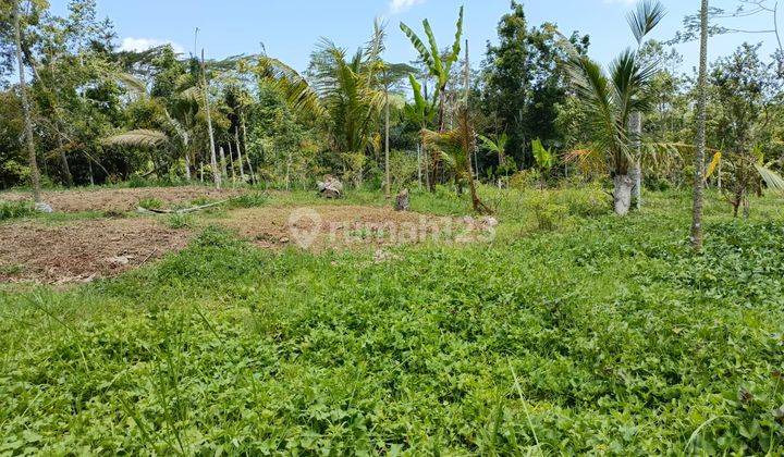 Dijual Tanah Istimewa di Ubud Dengan View Jungle Dan Lembah 2