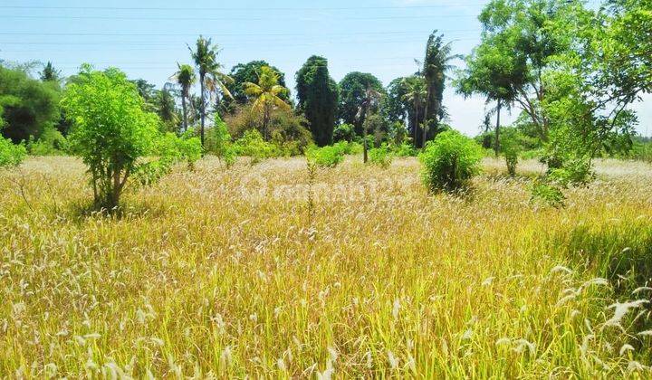 Land Los Sungai for sale in Ubud View Sungai  2