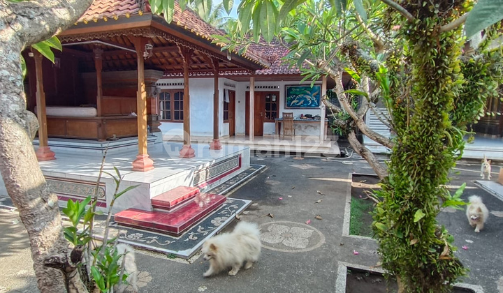 Dijual Tanah bonus bangunan etnik bali di Batubulan view sawah 1