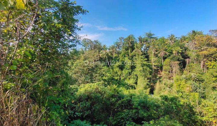 Land for sale in Ubud los sungai Wos View Sungai Wos 1