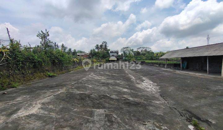 Dijual Tanah Dan Bangunan Di Pejeng kelod View Sawah 1