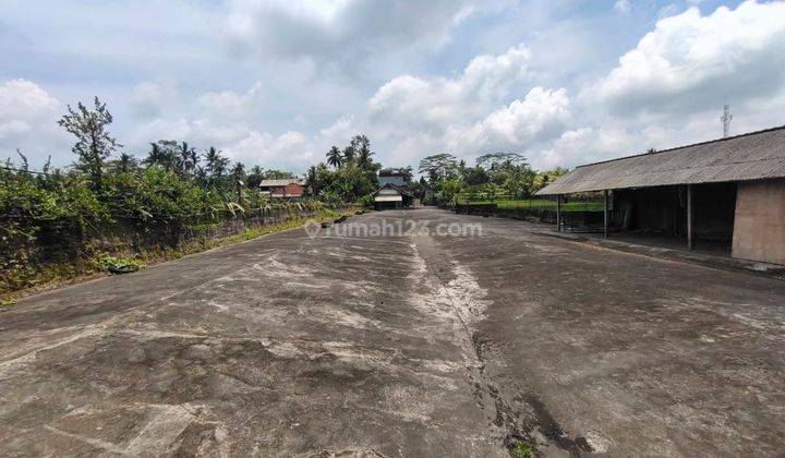 Dijual Tanah Dan Bangunan Di Pejeng kelod View Sawah 2