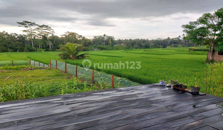 Dijual Villa Etnik Joglo kayu jati view sawah di Pejeng Kangin 2