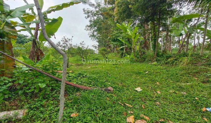 Dijual Lahan Murah Di Taro Gianyar View Sawah 1