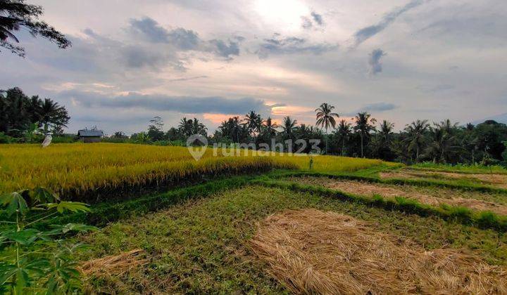 Dijual Tanah di Bukian view sawah, gunung, sunset dan telabah 2