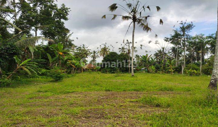 Dijual Tanah lingkungan pedesaan di Pupuan view hutan hutan 2