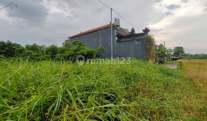 Dijual Lahan Premium Di Goa Gajah Ubud View Sawah Rumah Com