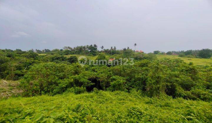 tanah Di Ubud view cantik jungle lembah dan sungai 1