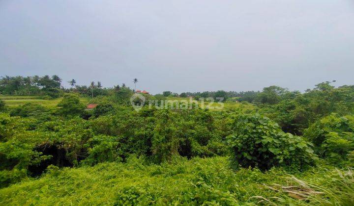 tanah Di Ubud view cantik jungle lembah dan sungai 2