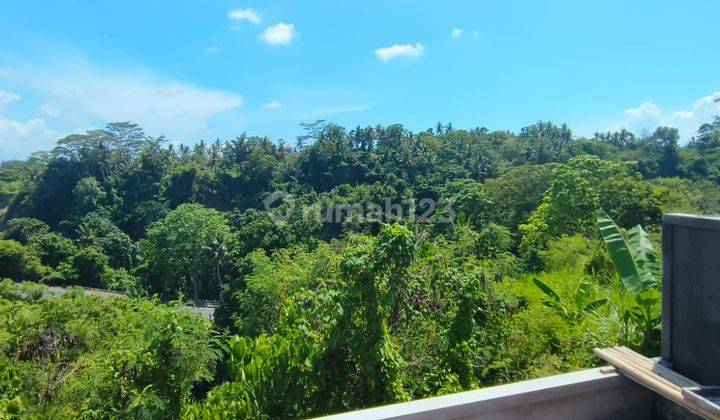 Villa Di Ubud View Sungai Dan Jungle dekat waterfall 2