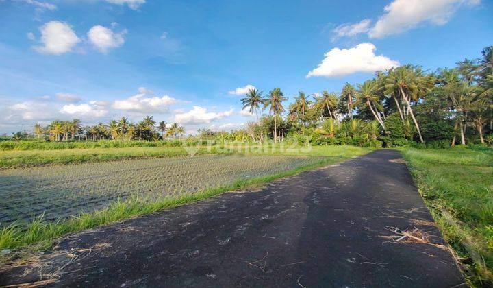 Dijual lahan asri dan nyaman di Ubud view sawah dan gunung 2