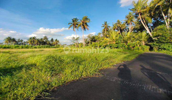 Dijual lahan asri dan nyaman di Ubud view sawah dan gunung 1