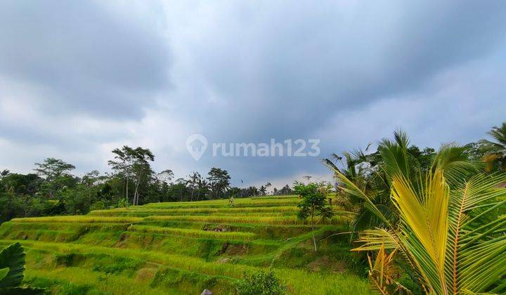 Dijual tanah view sawah sangat indah di Ubud 1