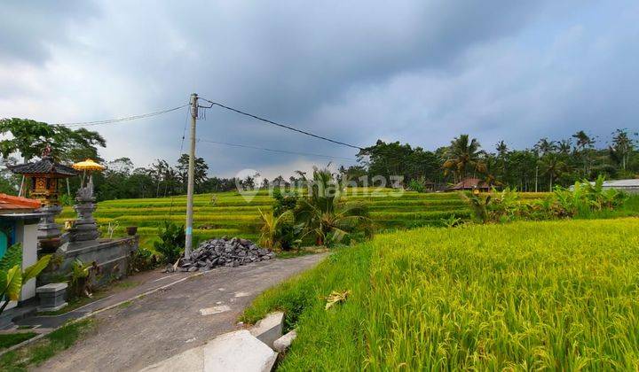 Dijual tanah view sawah sangat indah di Ubud 2