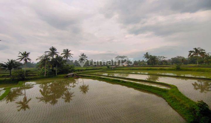 villa style bali Di Ubud view cantik gunung dan sawah 2