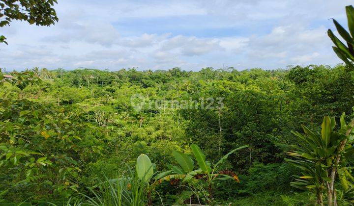 Land for sale in Ubud view valley, jungle, river and mountain 1