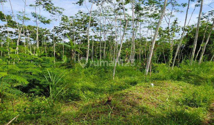 Land for sale in Ubud view valley, jungle, river and mountain 2