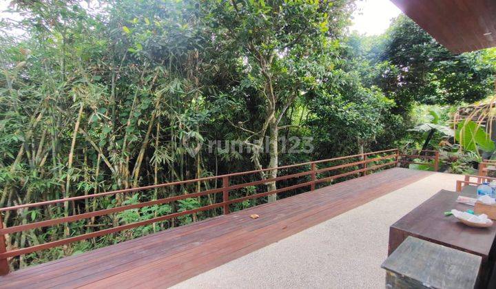 New villa for sale in Ubud with views of rice fields and jungle 2