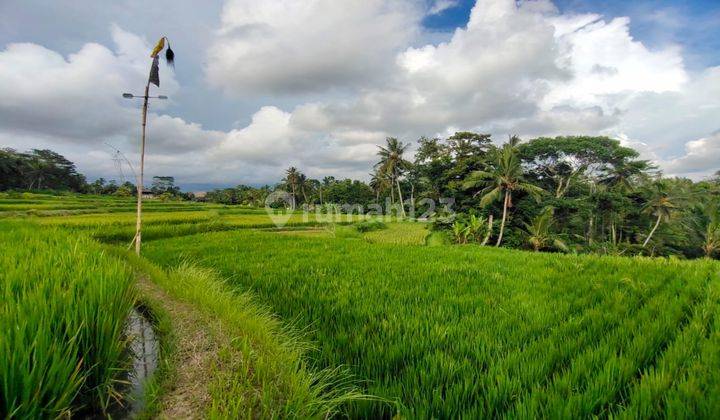 Dijual lahan premium di Ubud view sawah, lembah dan los sungai 1