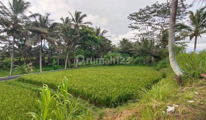 Dijual lahan premium di Ubud view sawah, lembah dan los sungai 2