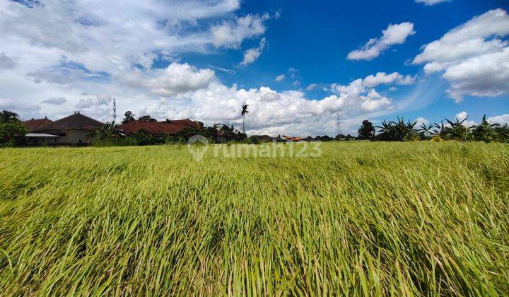 Dijual Tanah di Ubud view sawah, lembah, hutan dan sungai los 1