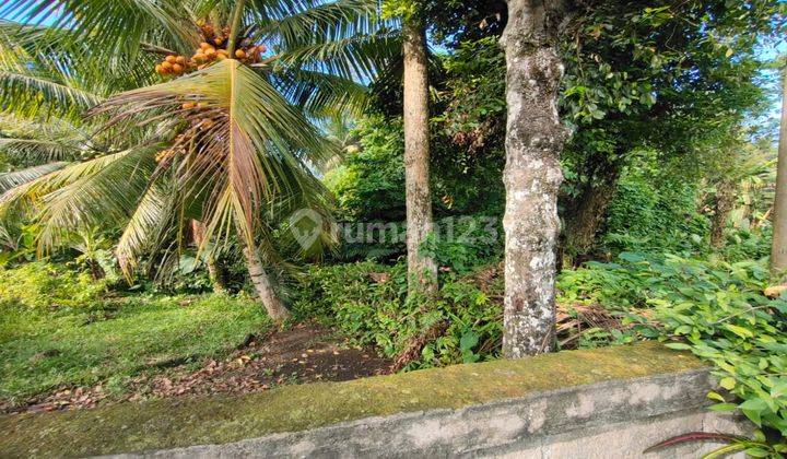 Land for sale in Ubud with beautiful views of the jungle and trees 2