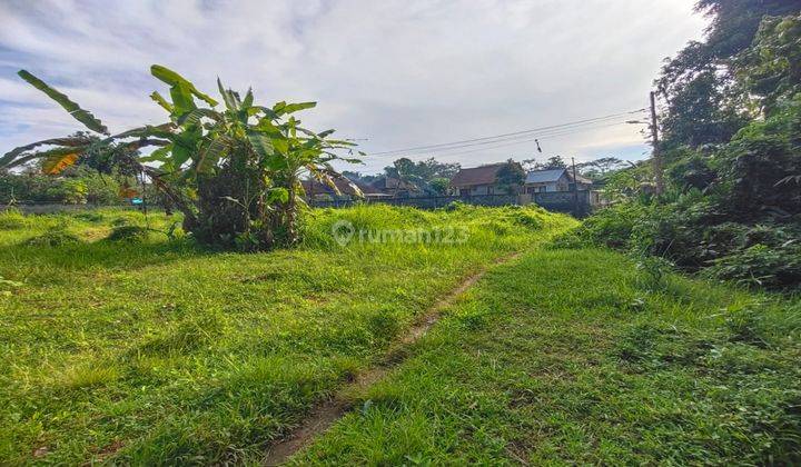 Land for sale in Ubud with beautiful views of the jungle and trees 1