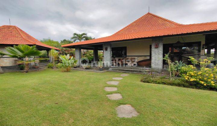 Villa style house for sale in Ubud with wide yard view villa 1