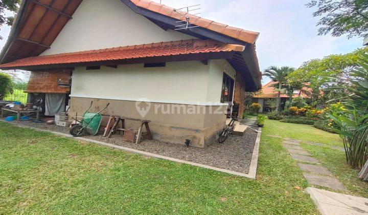 Villa style house for sale in Ubud with wide yard view villa 2