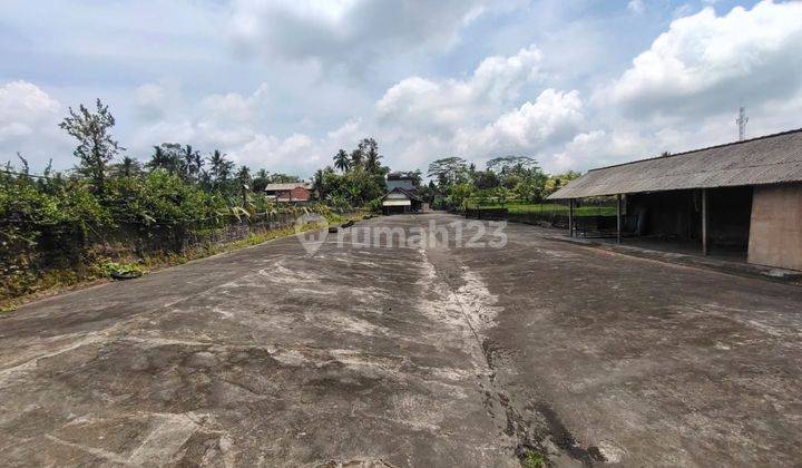 Land and Buildings for sale in Ubud View 360°rice field  2