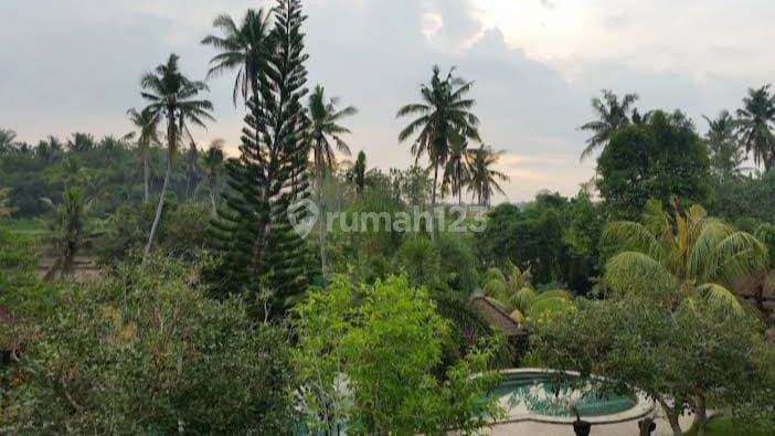 Dijual Villa Style Bali di Ubud view sawah dan river side 2