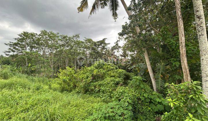 Dijual Tanah Di Ubud View Sawah Dekat Jalan Raya 2