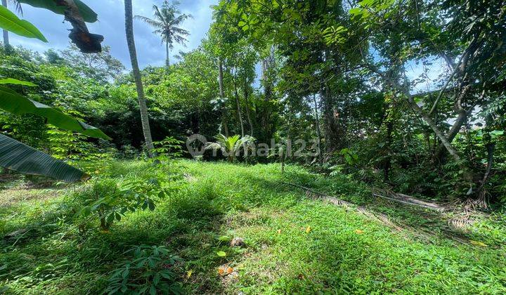 Dijual Tanah di Mas Ubud view Jungle dan Sungai akses Mobil 1