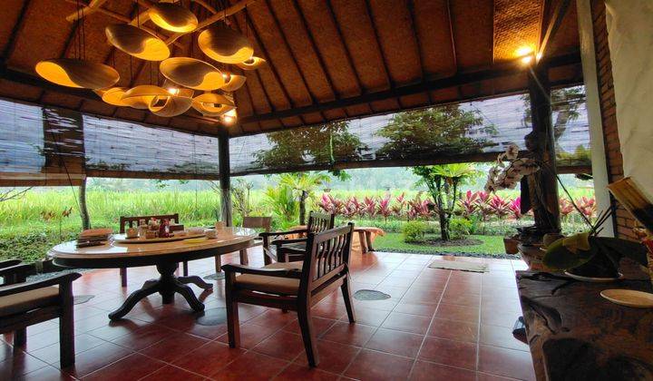  Jual Villa  Klasik Lokasi Di Tirta Tawar Ubud Dengan View Sawah 1