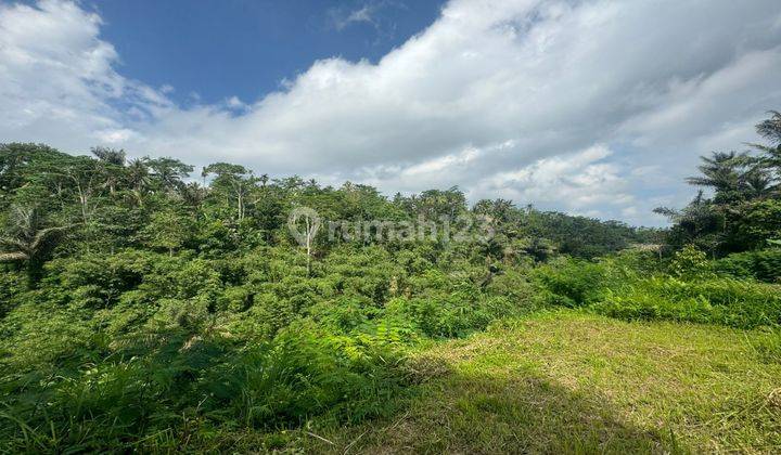 Dijual Lahan view Abadi Lembah dan Hills di Ubud Akses mobil 1