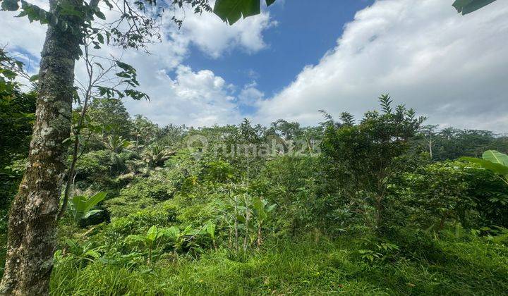 Dijual Lahan view Abadi Lembah dan Hills di Ubud Akses mobil 2