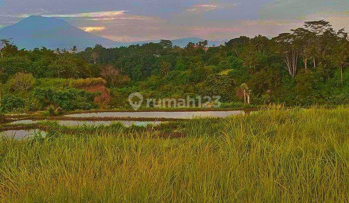 Valley view land for sale in Ubud with 6 meter road access 1