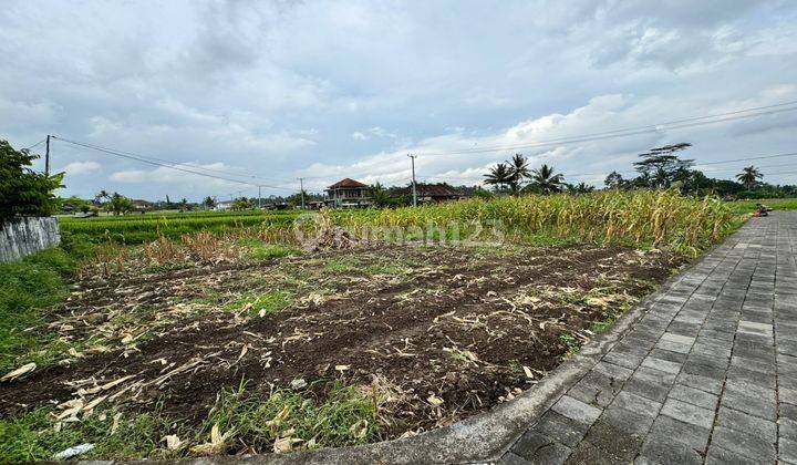 Di Jual Tanah Premium di Ubud lingkungan villa2 dan view sawah 2