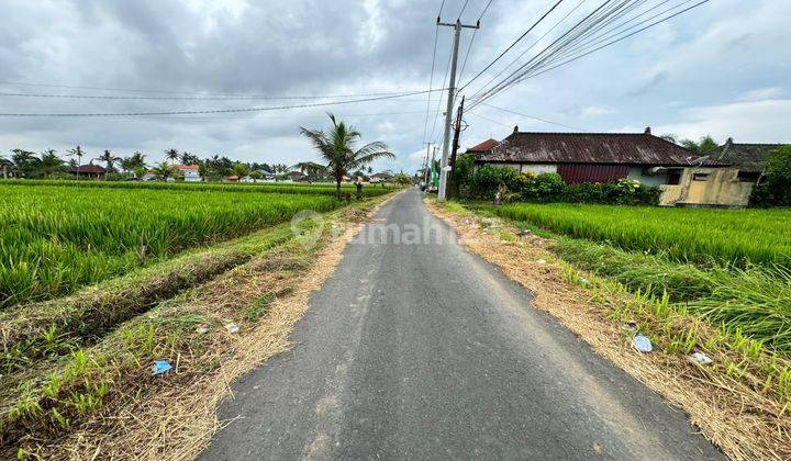 Di Jual Tanah Premium di Ubud lingkungan villa2 dan view sawah 1