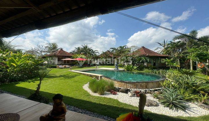 Dijual villa komplek 6 building view sawah 360° view sawah 1