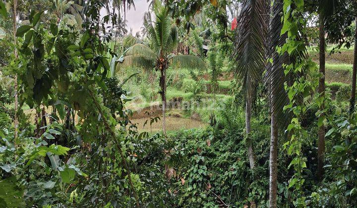 Dijual Tanah di Ubud Kendran view sawah dan sungai kecil 1