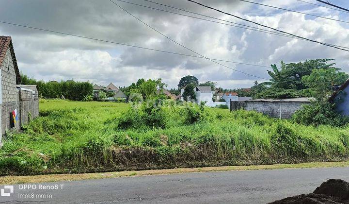 Dijual tanah Di Ubud Cantik lingkungan villa dan hotel view sawah 1